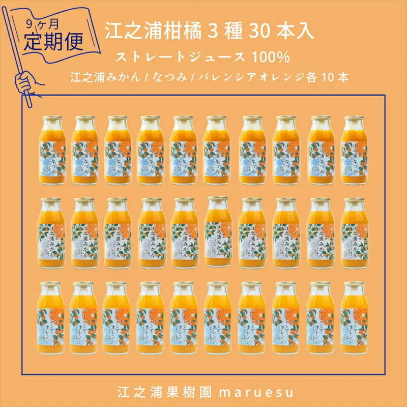 【定期便 9回】 小田原産江之浦みかんジュース３種のみくらべ３０本セット うんしゅう・なつみ・バレンシアオレンジ１００％ストレートジュース１８０ml各１０本合計３０本【みかんジュース みかんジュース 神奈川県 小田原市 】