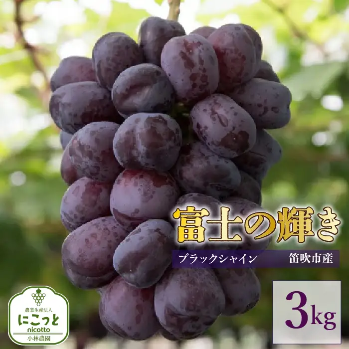 【2026年発送★先行予約】富士の輝き3キロ 097-018-26y