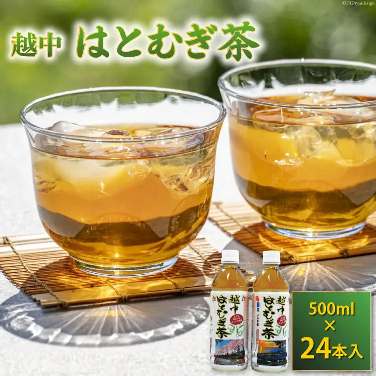 ハトムギ 茶 500ml 24本 入 1ケース