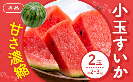 【先行予約】スイカ 小玉すいか 秀品 2玉 約 2kg ～ 3kg L ～ 3L 混合 株式会社Foody’s 食彩たかみ 《2027年5月下旬-7月下旬頃出荷》 熊本県 菊池市 フルーツ 果物 スイカ すいか 小玉 九州産 冷蔵 送料無料