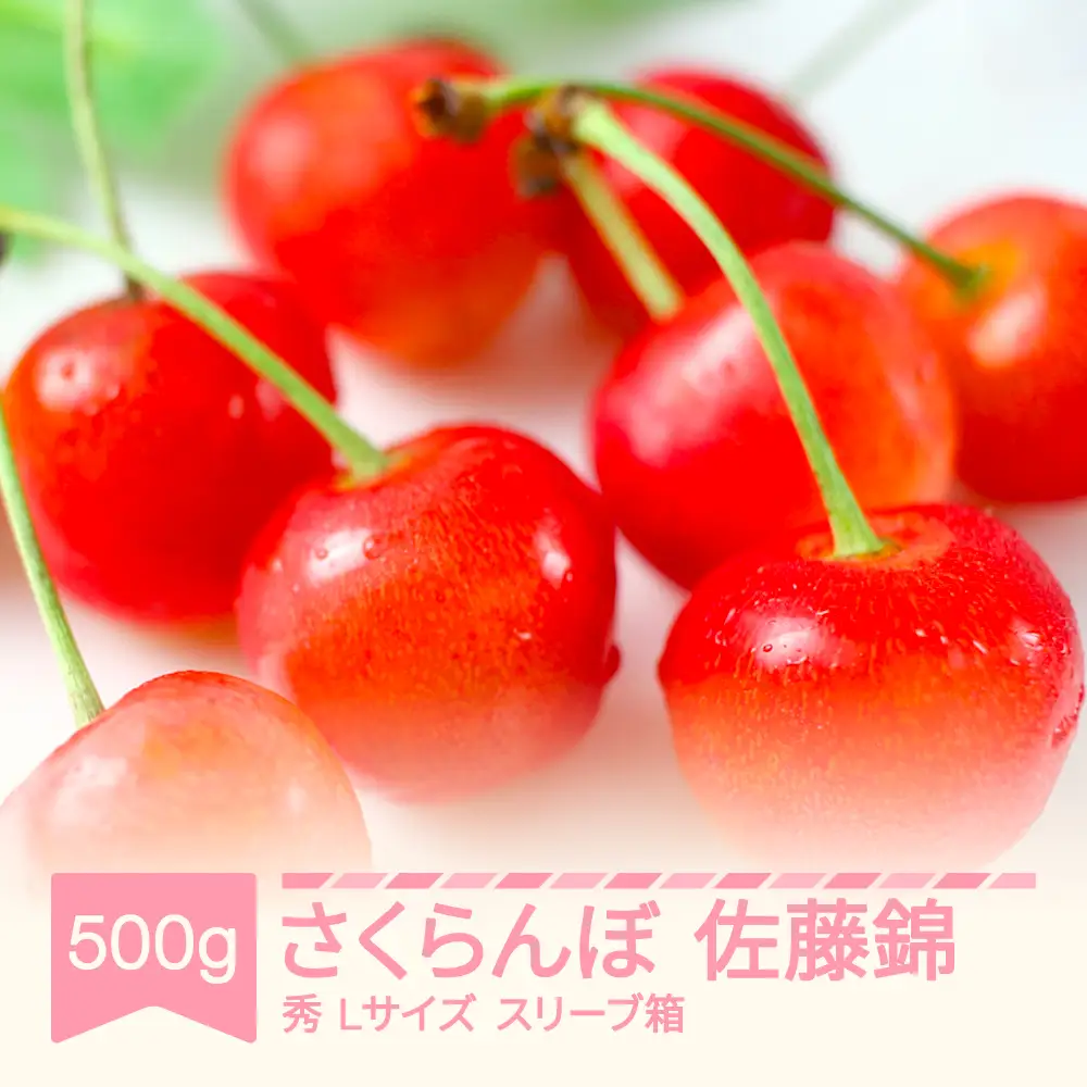 先行予約 さくらんぼ 佐藤錦 500g 令和9年産 sb-snslx500