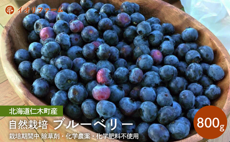 北海道 仁木町産 ブルーベリー800g 栽培期間中 除草剤・化学農薬・化学肥料不使用【日付指定不可】果物 くだもの フルーツ フレッシュ [iori farm]