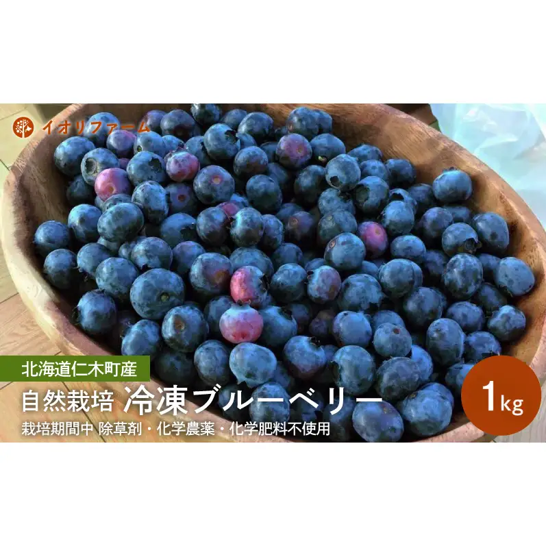 北海道 仁木町産 冷凍ブルーベリー1kg 栽培期間中 除草剤・化学農薬・化学肥料不使用【日付指定不可】果物 くだもの フルーツ 冷凍 イオリファーム [iori farm]