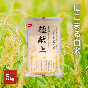令和6年産 にこまる白米 5kg