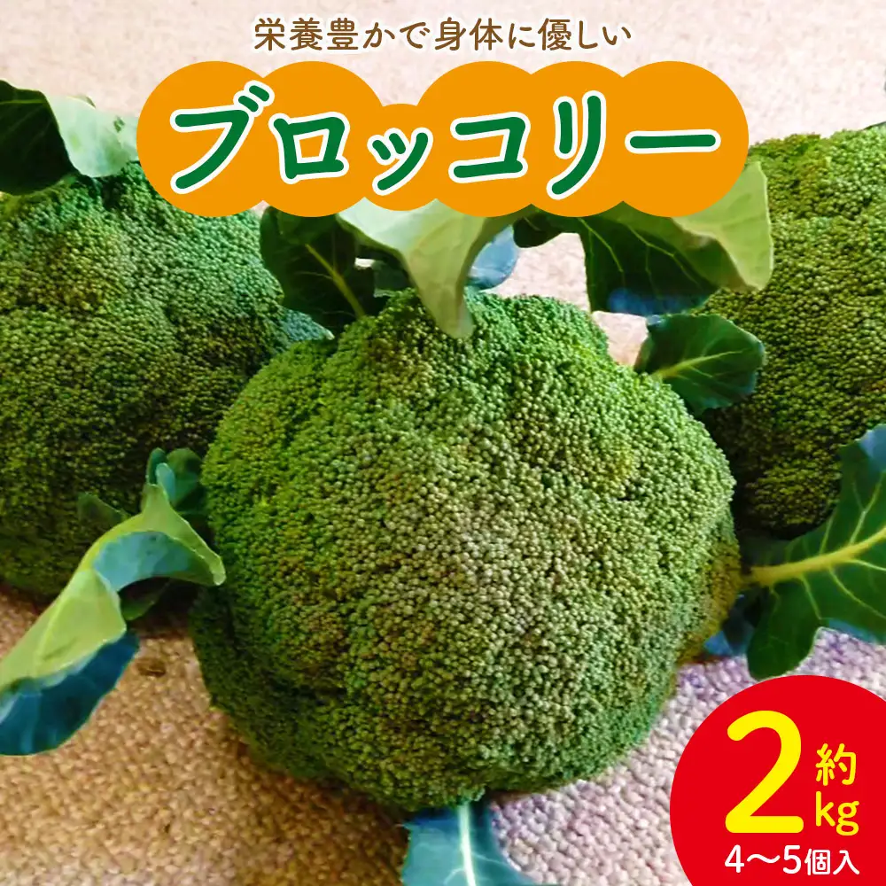 ブロッコリー 約2kg 産地直送 ブロッコリー 2025年12月中旬から順次配送 sy-0010