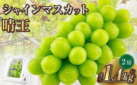岡山県産 シャインマスカット 晴王 2房 約1.4kg【2026年9月上旬-10月下旬 発送予定】｜種無し 皮ごと食べる 旬の美味しさ フレッシュ 先行予約 ハレノフルーツ