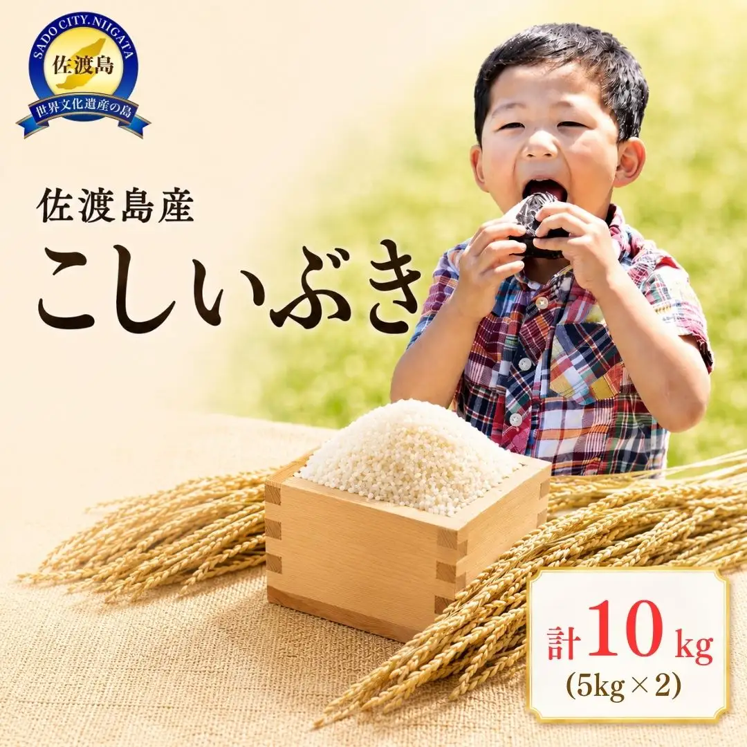 佐渡島産 こしいぶき 10kg（5kg×2） 令和7年産