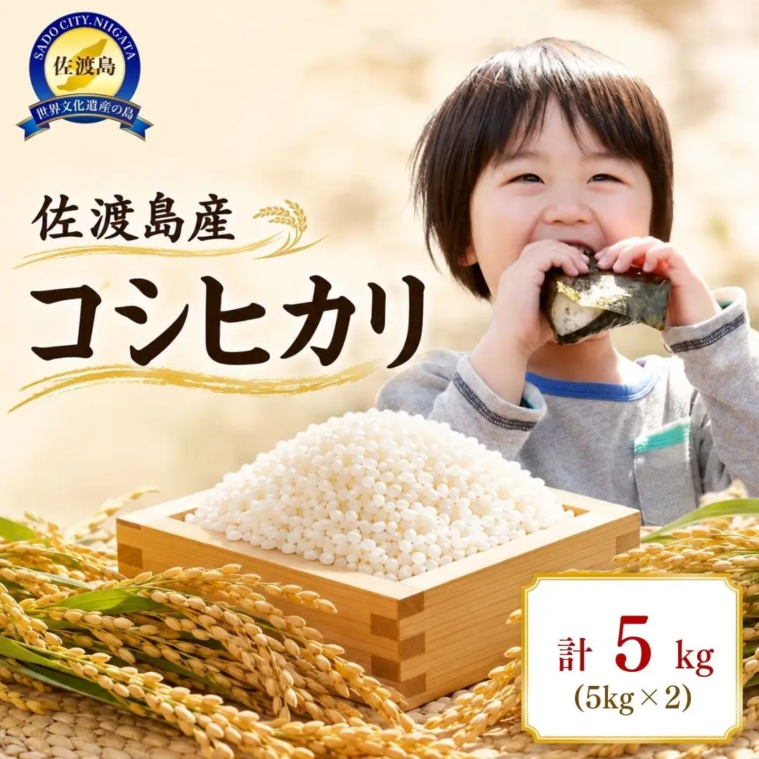 佐渡島産 コシヒカリ 5kg 令和7年産
