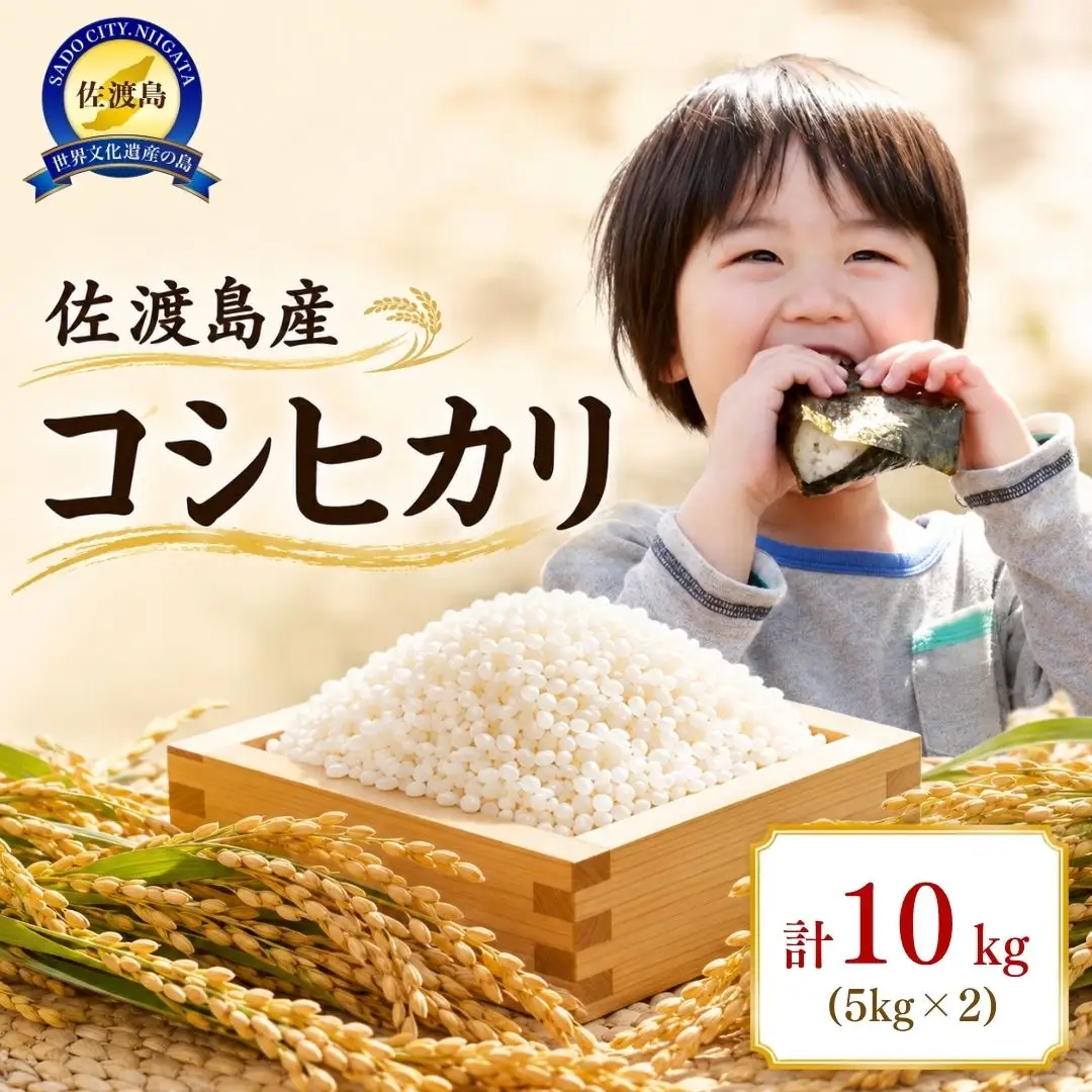 コシヒカリ 10kg（5キロ 2袋） 令和7年産 | 新潟県 佐渡市 コシヒカリ