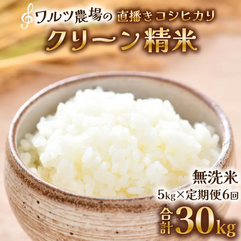 【先行予約】【令和8年産 新米】《定期便6回》ワルツ農場の直播き コシヒカリ クリーン精米（無洗米） 5kg（計30kg） / お米 ご飯 白米 発送直前 精米 つや 艶 甘味 旨み あわら市産 福井県産 慣行栽培 コメ 北陸 福井県 あわら市 こしひかり ※2026年11月上旬以降発送予定 [aw046-f003]