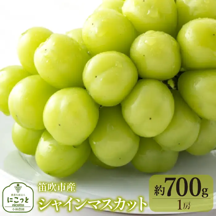 【2026年発送★先行予約】シャインマスカット700g（１房） 097-022-26y