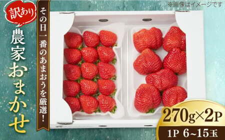 【先行受付】【農家直送！】 農家おまかせ訳あり 270g×2パック【2027年1月以降順次発送】 糸島市 / みのりのりん [ABD004]