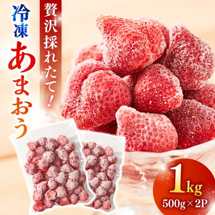 【農家直送！】 冷凍あまおう 1kg（500g×2パック）いちご 苺 糸島市 / みのりのりん [ABD006]