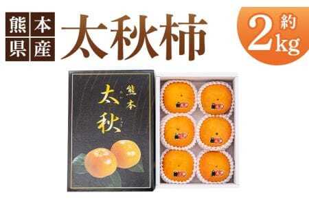 先行予約 太秋柿 合計約2kg（5～6玉）【2026年10月上旬〜11月中旬頃発送予定】サンサンうきっ子宇城彩館