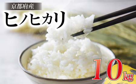 お米 ヒノヒカリ 10kg 令和6年産 京都 お米