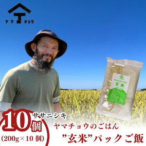 パックご飯 玄米ササニシキ ヤマチョウのごはん 秋田県産 パックご飯【200g×10個】