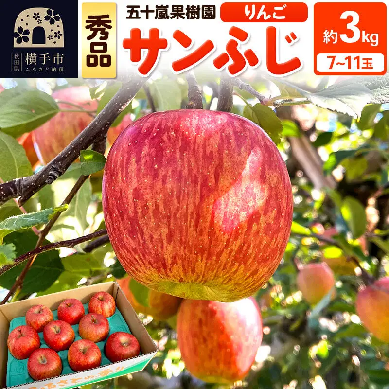 【先行受付】12月中旬より発送 サンふじ【秀品】約3kg（7～11玉）りんご 林檎