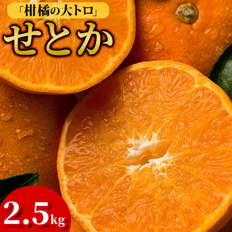 【先行予約】【数量限定】ホリ田ヤ せとか 2.5kg