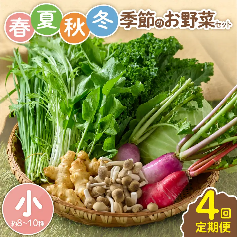 【全４回定期便】春夏秋冬 季節のお野菜セット（サイズ小/約8～10種） 【宮崎県 定期便 詰め合わせ 新鮮 産地直送 おまかせ 季節の野菜 ボックス 農家直送 有機栽培 送料無料 オーガニックのまち 宮崎県綾町】_A0053-013