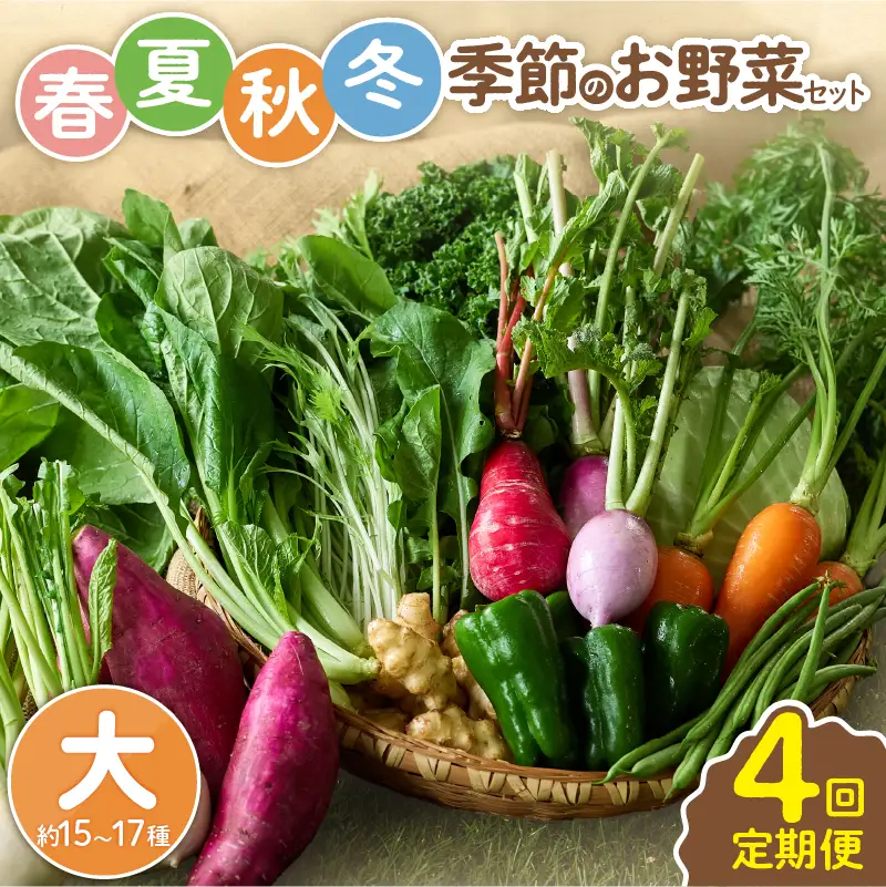 【全４回定期便】春夏秋冬 季節のお野菜セット（サイズ大/約15～17種） 【宮崎県 定期便 詰め合わせ 新鮮 産地直送 おまかせ 季節の野菜 ボックス 農家直送 有機栽培 送料無料 オーガニックのまち 宮崎県綾町】_A0053-015