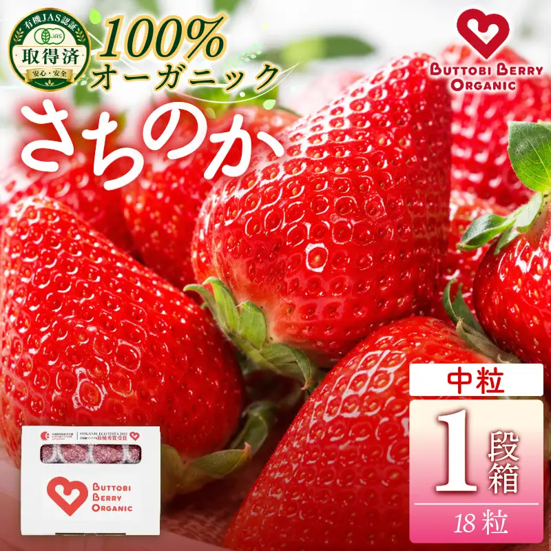 オーガニック いちご 中粒 約18粒 《1月末から5月発送》 有機JAS認証 ORGANIC 甘い 苺 果物 フルーツ 産地直送 新鮮 ストロベリー ジャム スムージー 期間限定 徳島