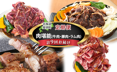 十勝幕別の定期便 肉堪能(牛肉・豚肉・ラム肉) 年9回お届け 【 ハンバーグ ステーキ ジンギスカン 惣菜 牛 羊 ラム 焼肉 BBQ バーベキュー 味付き 味付き肉 タレ 手切り アウトドア キャンプ お取り寄せ 冷凍 小分け 保存 牛肉 】