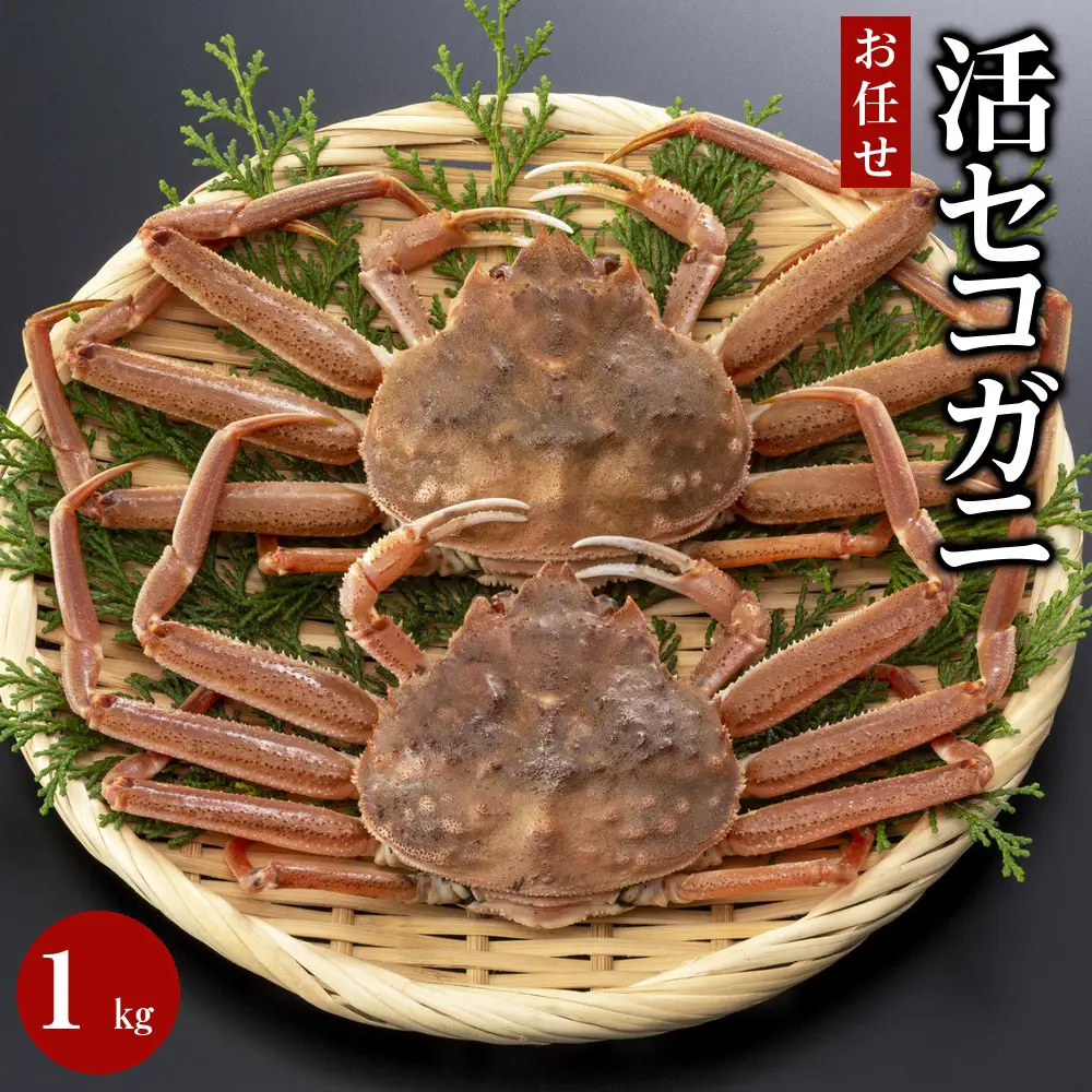 【魚倉】活お任せセコガニ1kgセット