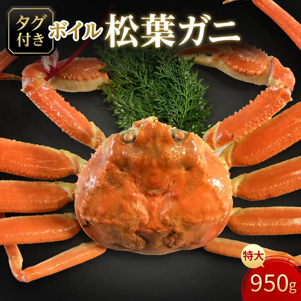 【魚倉】タグ付きボイル松葉ガニ(特大950ｇ)