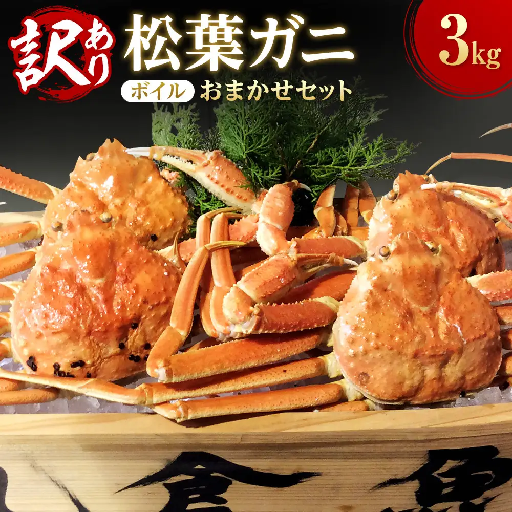 【魚倉】松葉がに ボイル おまかせセット ３kg訳あり