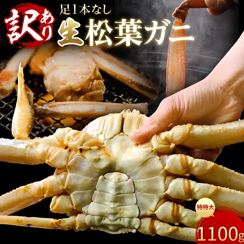 【魚倉】足１本なし生松葉ガニ(特特大1,100ｇ)訳あり