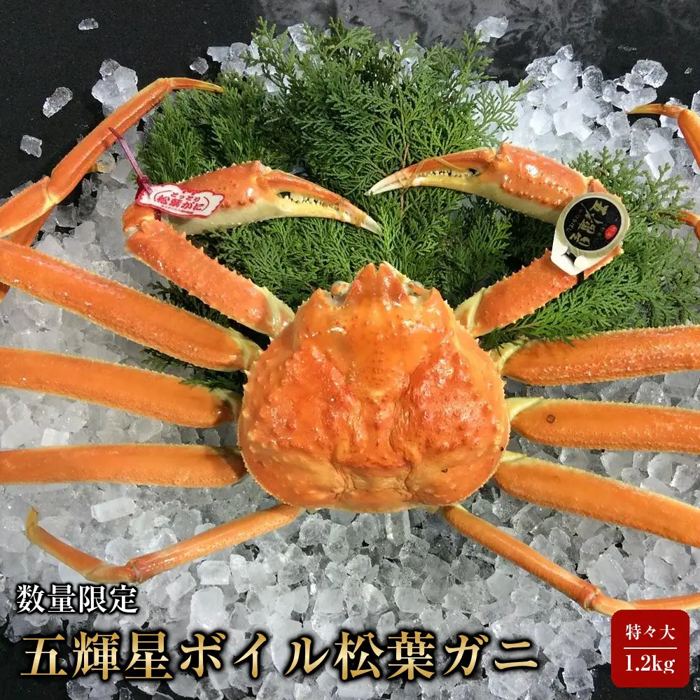 【魚倉】五輝星ボイル松葉ガニ(特々大1.2kg)数量限定品