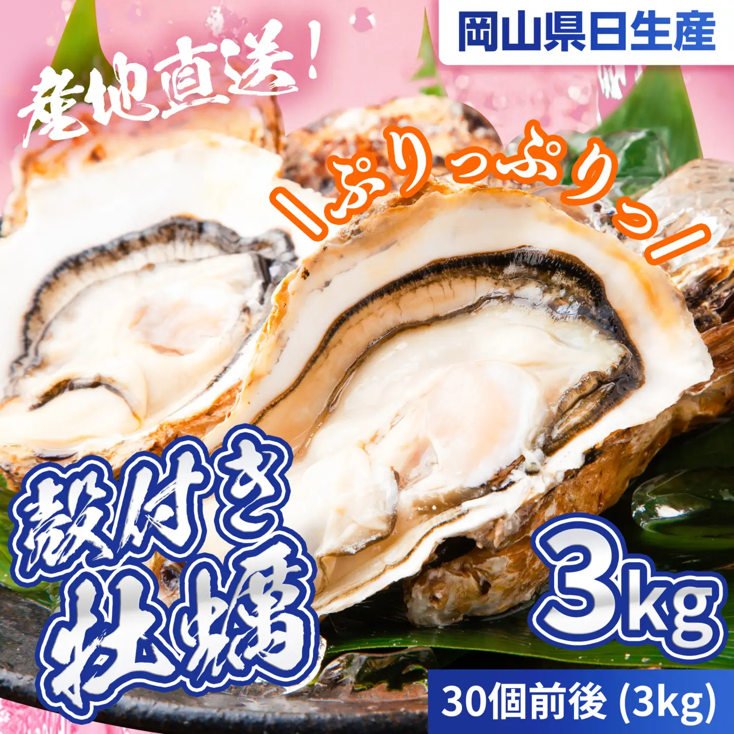 【2027年発送分】産地直送！岡山県日生産　殻付き牡蠣（加熱用）30個前後（3kg）（2027年1月中旬以降発送）【牡蠣】