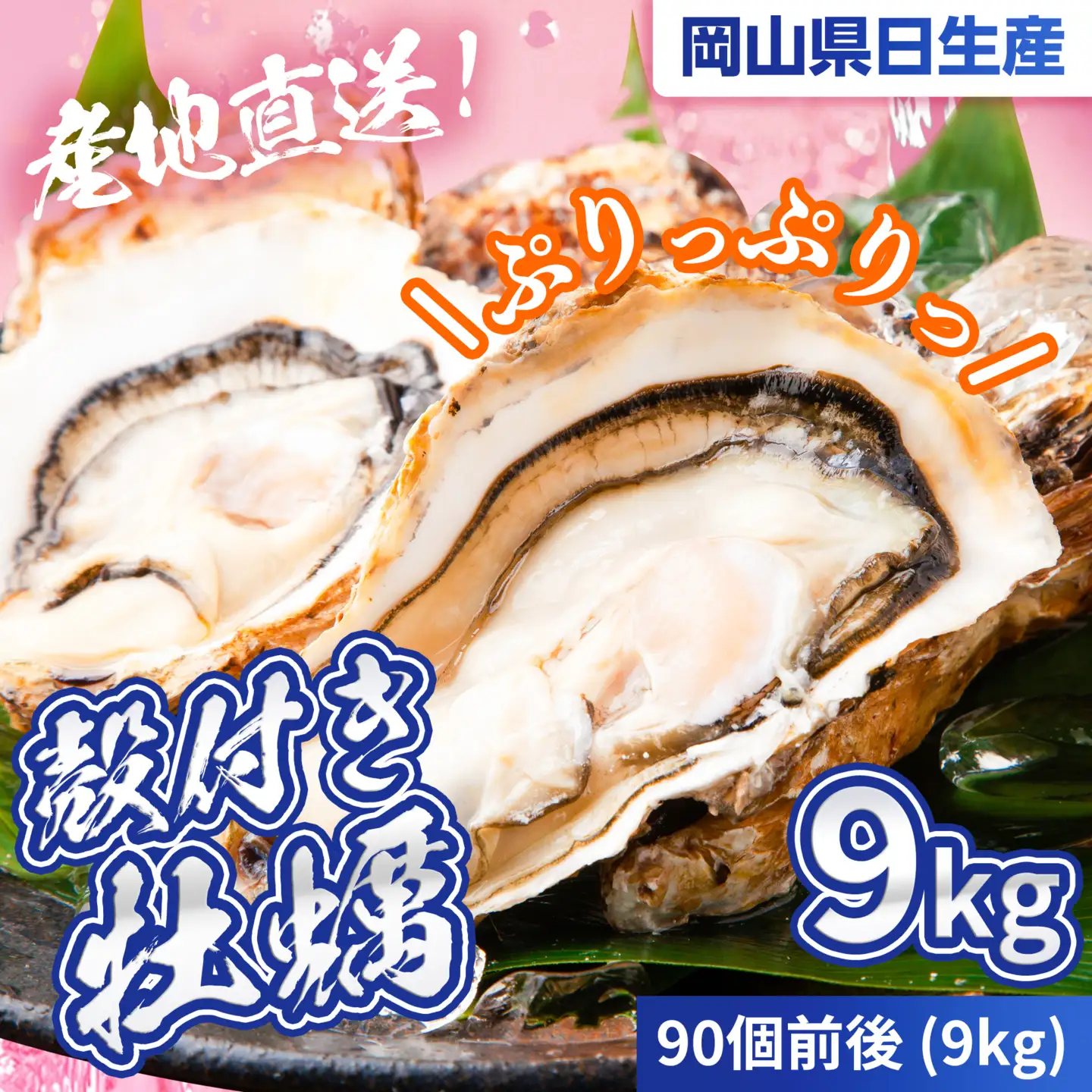 【2027年発送分】産地直送！岡山県日生産　殻付き牡蠣（加熱用）90個前後（9kg）（2027年1月中旬以降発送）【牡蠣】