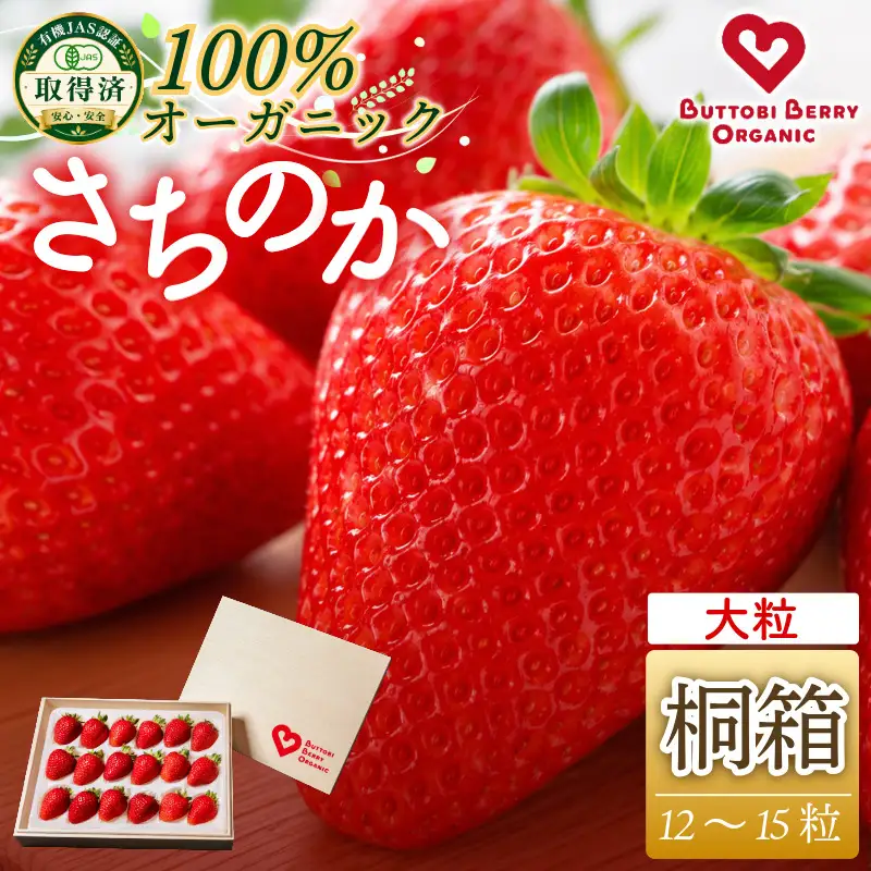 オーガニック いちご 大粒 約12～15粒 桐箱入り 《1月末から5月発送》 有機JAS認証 ORGANIC 甘い 苺 果物 フルーツ 産地直送 新鮮 ストロベリー ジャム スムージー 期間限定 徳島