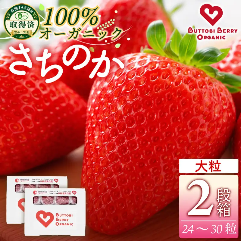 オーガニック いちご 大粒 約24～30粒 《1月末から5月発送》 有機JAS認証 ORGANIC 甘い 苺 果物 フルーツ 産地直送 新鮮 ストロベリー ジャム スムージー 期間限定 徳島