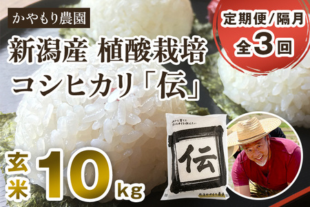 【令和7年産】【定期便3回隔月お届け】新潟産コシヒカリ「伝」真空パック 玄米10kg（5kg×2）《9月下旬～順次出荷》 かやもり農園