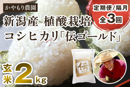 【定期便3回隔月お届け】新潟産コシヒカリ「伝ゴールド」真空パック 玄米2kg 南麻布の高級料亭で提供される極上米 かやもり農園