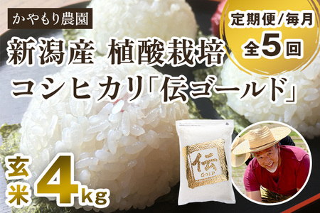最短3日発送【定期便5ヶ月毎月お届け】【令和6年産米】新潟産コシヒカリ「伝ゴールド」真空パック 玄米4kg（2kg×2）かやもり農園