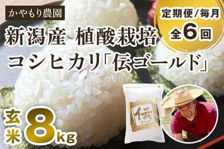 最短3日発送【定期便6ヶ月毎月お届け】【令和6年産米】新潟産コシヒカリ「伝ゴールド」真空パック 玄米8kg（2kg×4）かやもり農園