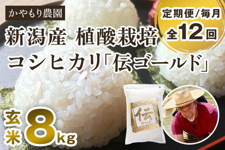 最短3日発送【定期便12ヶ月毎月お届け】【令和6年産米】新潟産コシヒカリ「伝ゴールド」真空パック 玄米8kg（2kg×4）かやもり農園