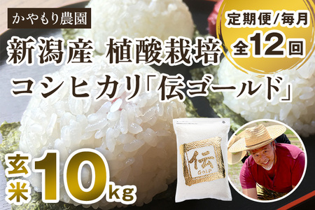 最短3日発送【定期便12ヶ月毎月お届け】【令和6年産米】新潟産コシヒカリ「伝ゴールド」真空パック 玄米10kg（2kg×5）かやもり農園