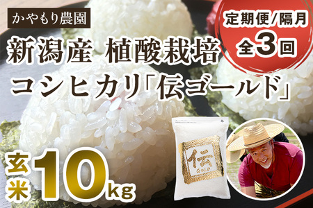 【令和6年産】【定期便3回隔月お届け】新潟産コシヒカリ「伝ゴールド」真空パック 玄米10kg（2kg×5）かやもり農園