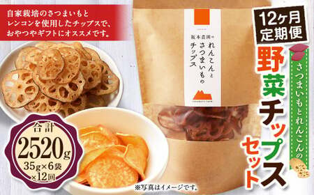 【 12ヶ月 定期便 】 さつまいも と レンコン の 野菜 チップス セット 6袋×12回 計72袋 ／ お菓子 芋 サツマイモ 薩摩芋 さつま芋 れんこん 蓮根 おやつ