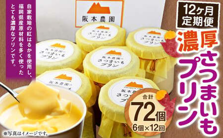 【 12ヶ月 定期便 】 濃厚 さつまいもプリン 6個入り 6個×12回 計72個 ／ スイーツ おやつ デザート 洋菓子 プリン さつまいも 冷凍