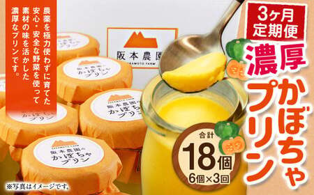 【 3ヶ月 定期便 】 濃厚 かぼちゃプリン 6個入り 6個×3回 計18個 ／ スイーツ おやつ デザート 洋菓子 カボチャ 南瓜 パンプキン 冷凍