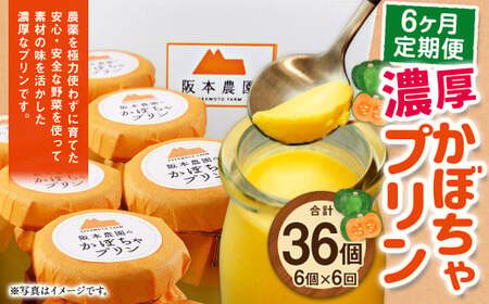 【 6ヶ月 定期便 】 濃厚 かぼちゃプリン 6個入り 6個×6回 計36個 ／ スイーツ おやつ デザート 洋菓子 カボチャ 南瓜 パンプキン 冷凍