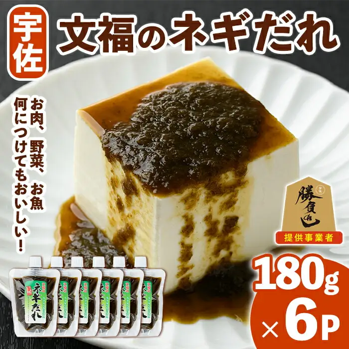 宇佐名物 文福のネギだれ (計1.08kg・180g×6P) ネギ ねぎ 葱 たれ タレ 勝負めし【102200400】【観光館　文福】