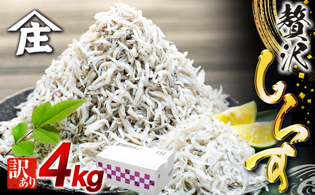 しらす 4kg ( 1kg × 4箱 ) 訳あり 冷凍 ちりめん しらす干し 減塩 釜揚げ ごはん 丼 パスタ チャーハン サラダ 魚 料理 山庄 愛知県 南知多町 師崎