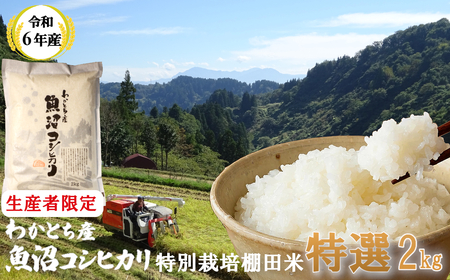 ※使用しない W10P436 【数量限定 令和6年産】わかとち産 魚沼コシヒカリ 特別栽培 棚田米 特選 2kg 箱入 生産者限定 贈答 白米 魚沼 新潟