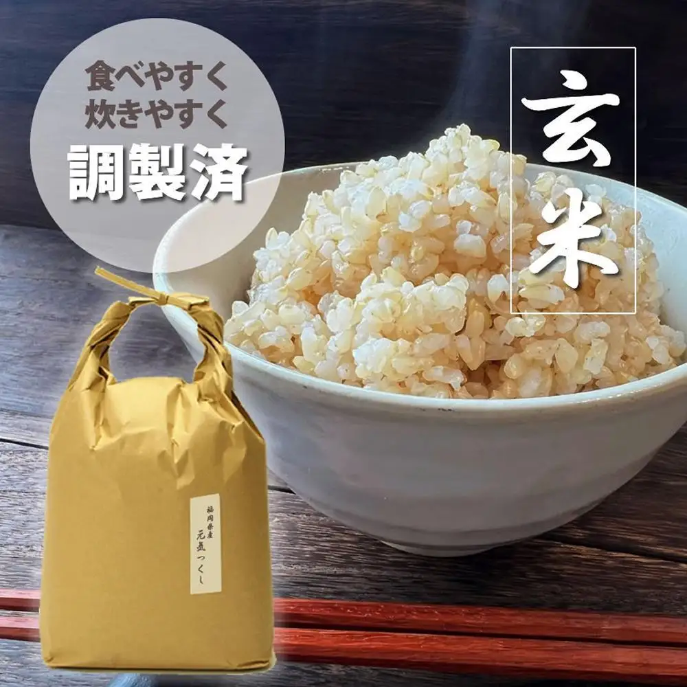 令和7年産 福岡県産【特A】評価のお米「元気つくし」5kg×1袋 5kg [玄米]